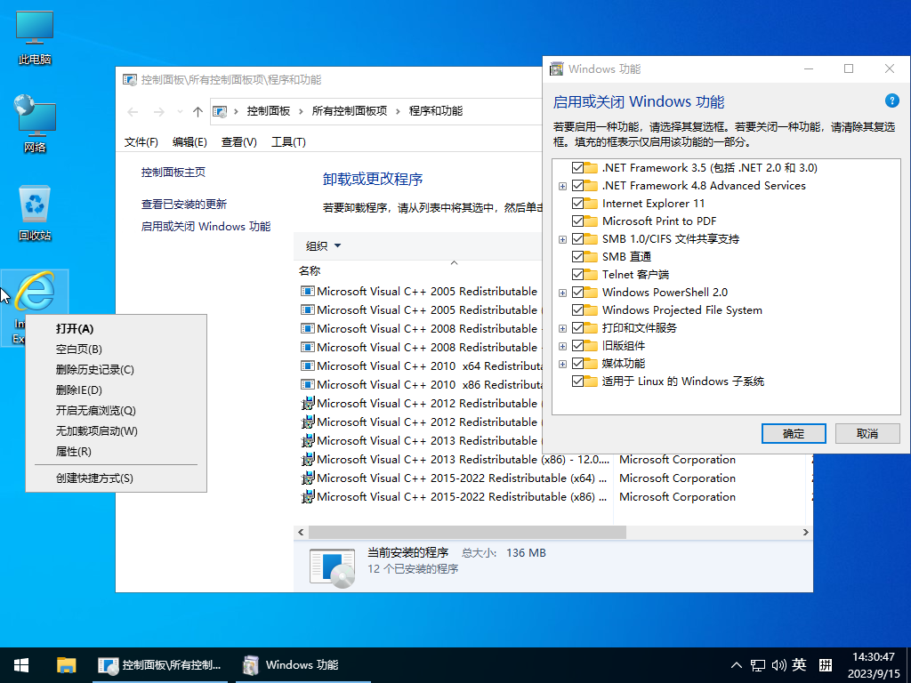 图片[3]-小修 Windows 10 Pro 22H2 19045.5073 深度精简版 二合一[1.34G]-Windows时空